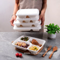 Biodegradable Sugarcane Pulp Tableware Container